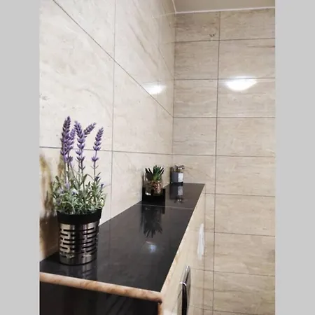 公寓 Spacious Near Center And The