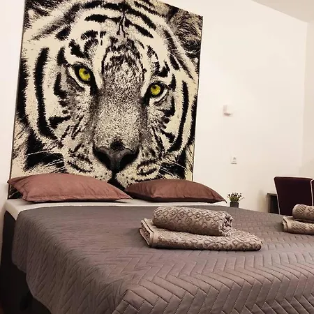 Spacious Near Center And The